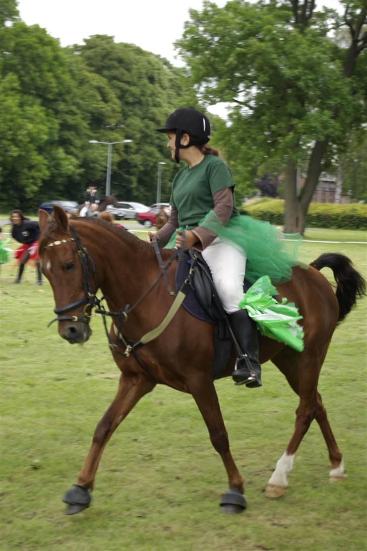 DSP Much ( R.I.P ) - jaa der rider de igen ;> billede 10