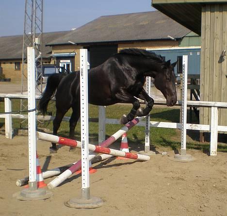 Oldenborg Lindholms Chanell  - Spring! Foto: Charlotte billede 13