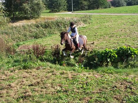 Anden særlig race tamara - mig og tamara springer over en grøft på østerhøjstien:) billede 9