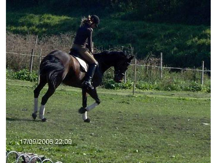 {{currentPhoto.altText}} billede {{currentPhoto.number}}