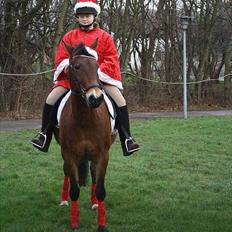 Anden særlig race Bitteby's Tulle. 