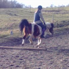 Anden særlig race Perle [Pearl Habor] (Solgt)