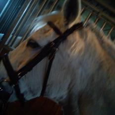 Anden særlig race Mille <3. (Ard Chuan Millenium)