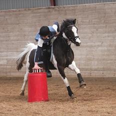 Lewitzer Gaspaspon II