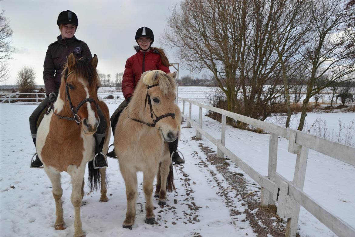 Anden særlig race Tristan - 3. februar 2012 - Mig og Sabrina på Tristan og Freja :D billede 4