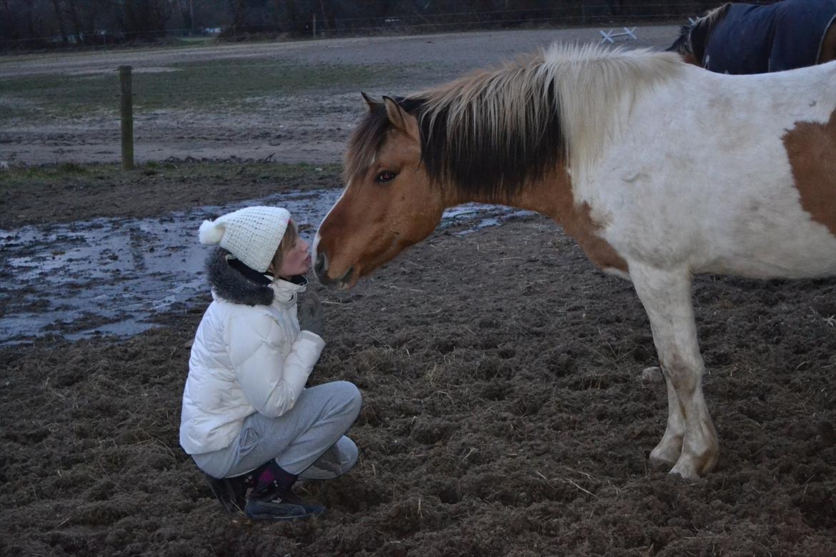 Anden særlig race Tristan - 7. marts 2012 - var lige ude og sige godmorgen til min smukke ponze<3 billede 13