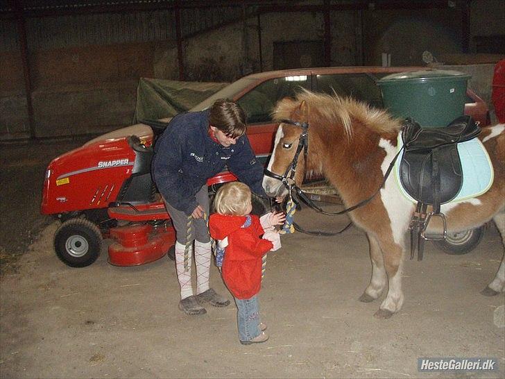 Anden særlig race fætter guf billede 11