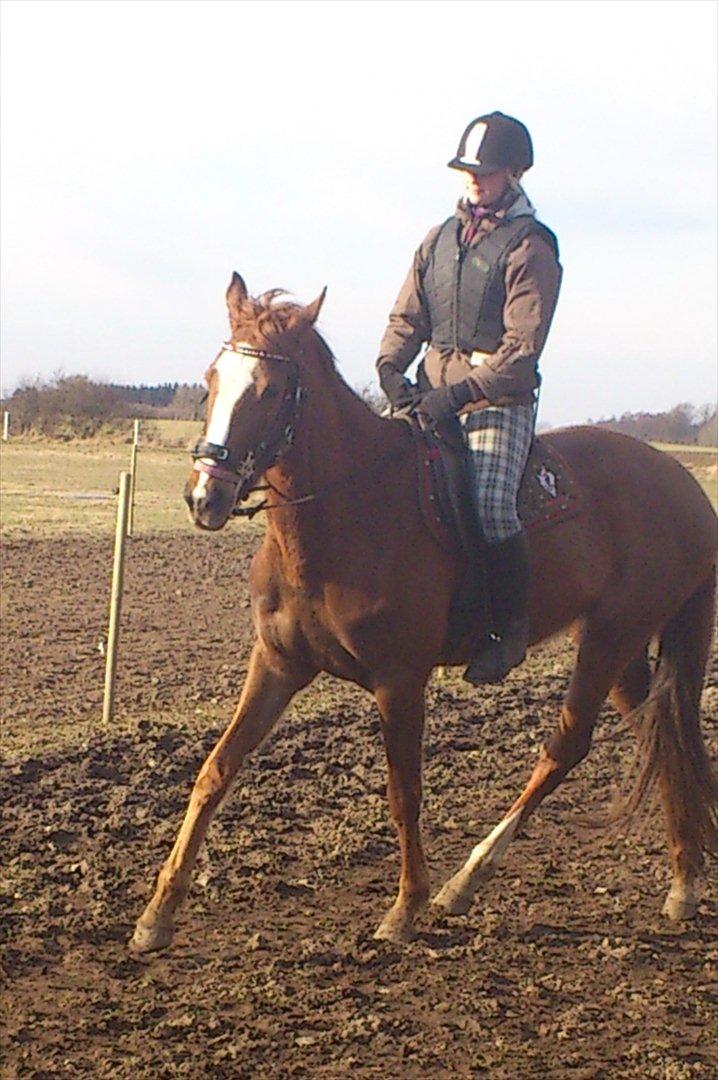 Oldenborg Rosenhavens Fransiska billede 17