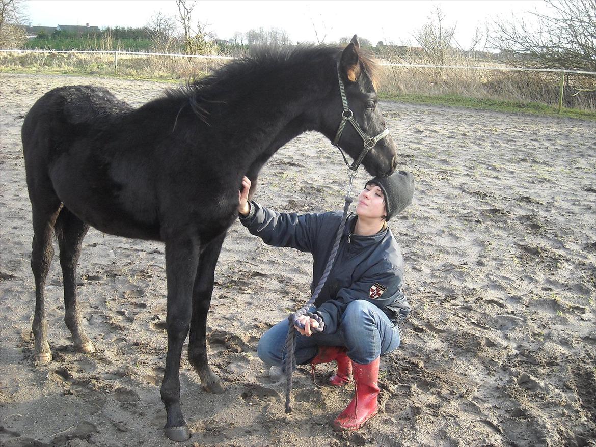 Anden særlig race Kastaniely's Temptation billede 15