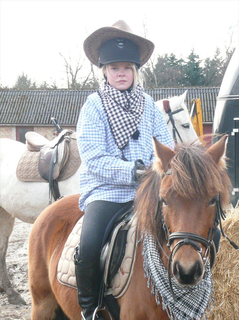 Gotlandsruss Julie (Dulle) - Julie og jeg som cowboys!:D
Ved godt at jeg ser lidt sur ud, men det er jeg altså ikke!:p


Tak fordi i kiggede på Julies profil:D
Læs også meget gerne teksten om hende:D
Læg lige en kommentar og en bedømmelse;D billede 20