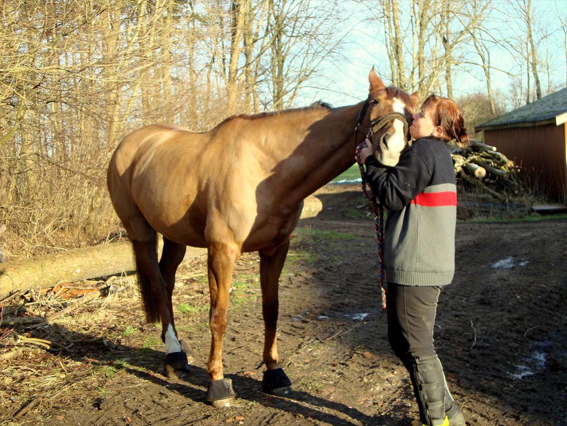 Anden særlig race Vestergård Nikita - januar 2012 jeg ELSKER min ejer billede 13