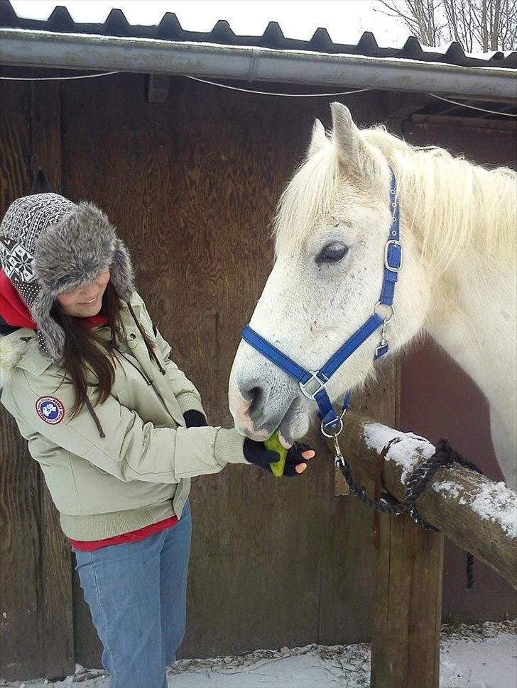Anden særlig race • William - William elsker pære.. :'D billede 13