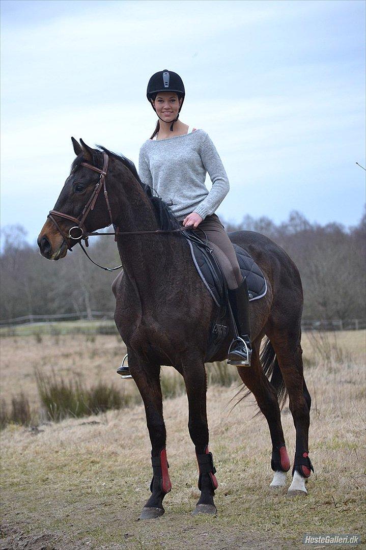 Fuldblod (XX) Adept  SOLGT - Mig og min fantastiske hest efter en skøn omgang dressur. billede 5
