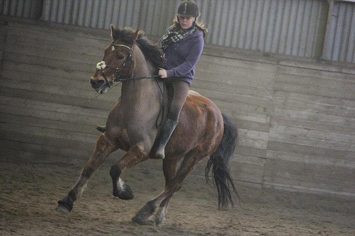 Anden særlig race Amazing Star - My Star <3 - mig og Amazing prøver en galop uden sadle <3 billede 12