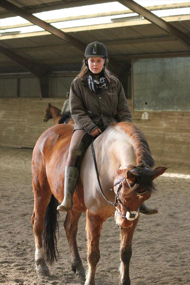 Anden særlig race Amazing Star - My Star <3 billede 15