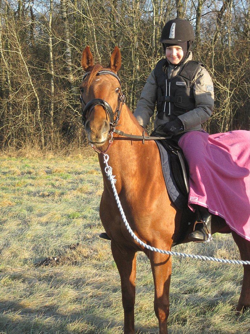 DSP Tracy solgt. - Maja og Tracy rider skovtur billede 3