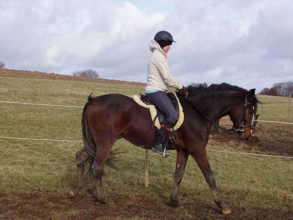 Anden særlig race Cosmo - Min smukke dreng i februar 2012 billede 5