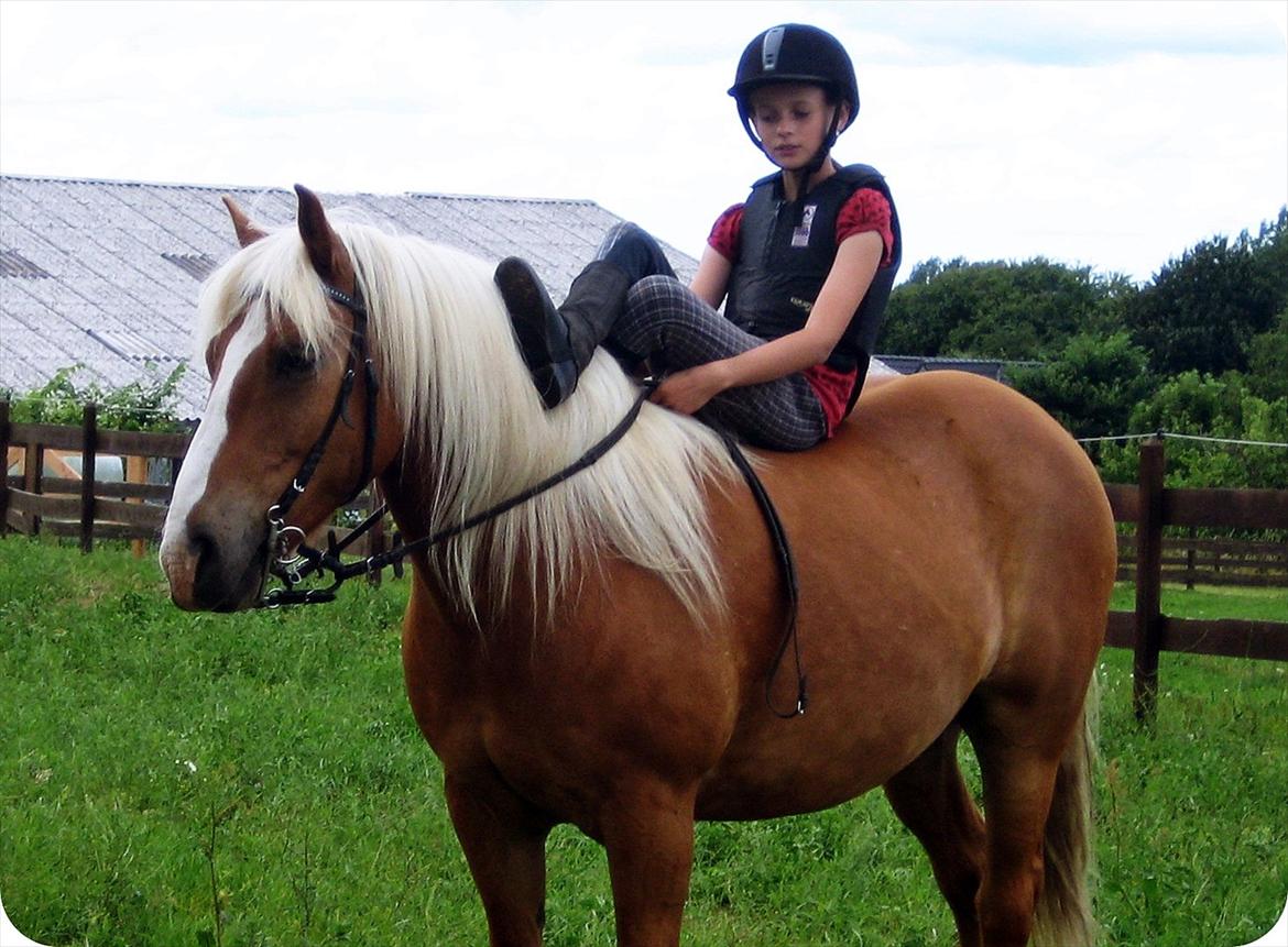 Tyroler Haflinger † <3Partner<3 Den SMUKKESTE stjerne på himlen<'3† - You are sweet, you are kind, you are always on my mind♥(':
-Hold op hvor jeg dog savner dig min dreng♥♥ kan slet ikke beskrive hvor fantastisk du var, du var ALT♥♥ Tak for de bedste 7 år i mit liv!!♥♥ billede 1