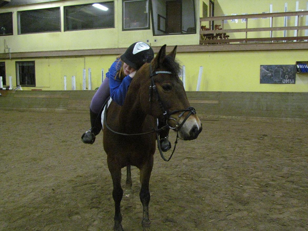 Anden særlig race Bitteby's Tulle.  - Fredag d. 9 marts 2012.
"Du kan ikke tvinge en hest til at elske dig. Kærlighed kommer med tillid og tillid kommer med tålmodighed. Gør dig selv den tjeneste at have denne tålmodighed og du får dig en ven for livet" billede 8