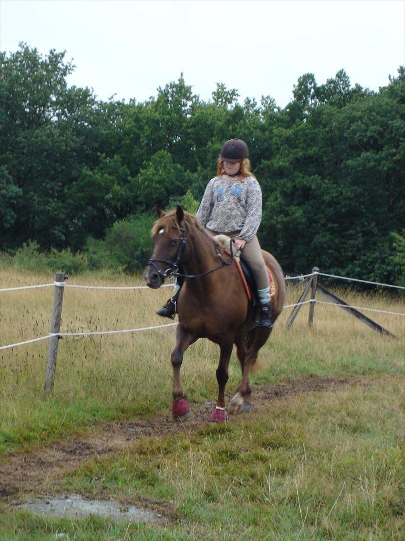 Anden særlig race Zephyr  - Velkommen til Zep's profil :) billede 1