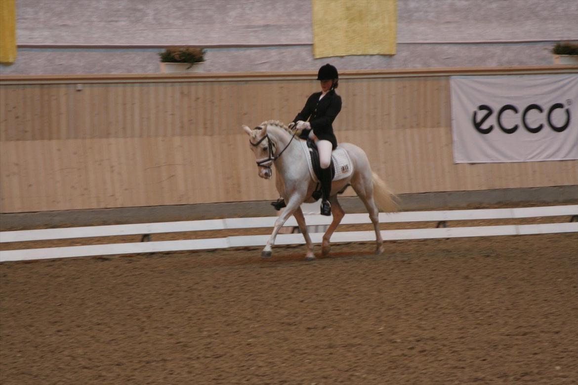 Anden særlig race Julius, **A-PONY** - Vilhelmsborg marts 2012 billede 17