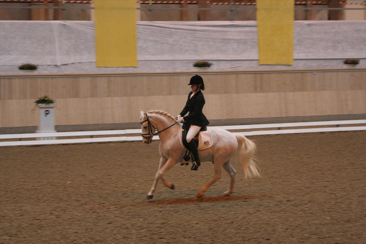 Anden særlig race Julius, **A-PONY** - Vilhelmsborg marts 2012 billede 15