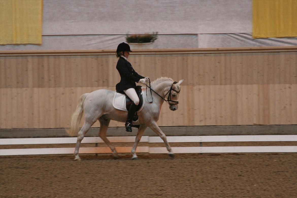 Anden særlig race Julius, **A-PONY** - Vilhelmsborg marts 2012 billede 16