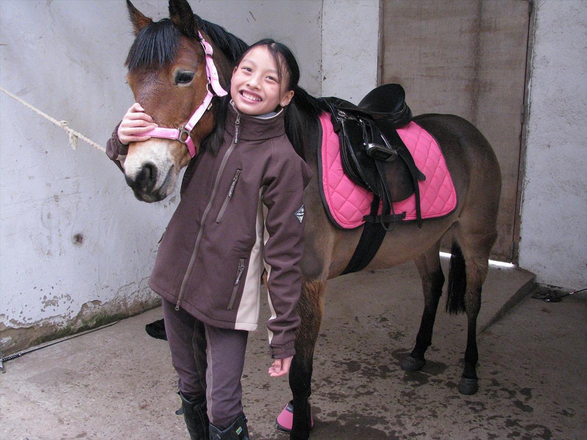 Gotlandsruss Bolina *Solgt&Savnet<3* - Min lyserøde prinsesse pony <33
Billede er taget af min mor... billede 19