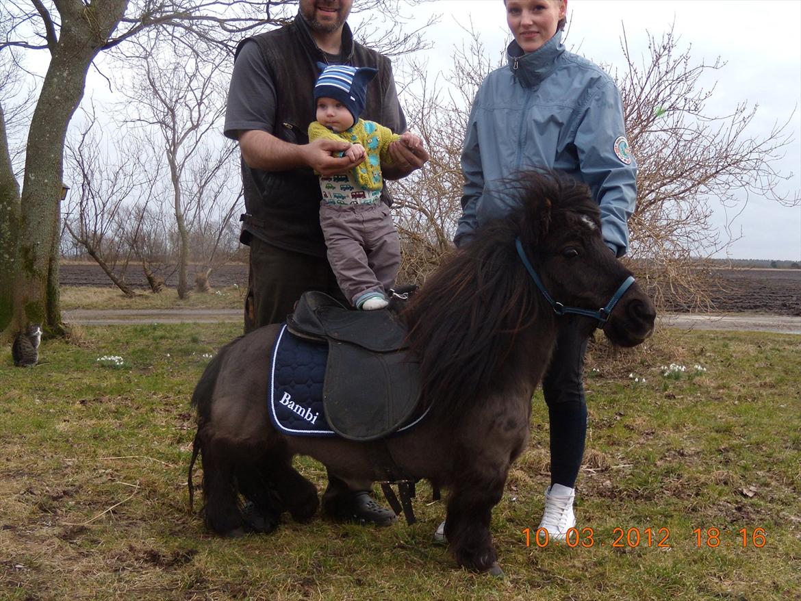 Anden særlig race Bambi - juhuu hu hun kan også bruges til ungarsk post  billede 7