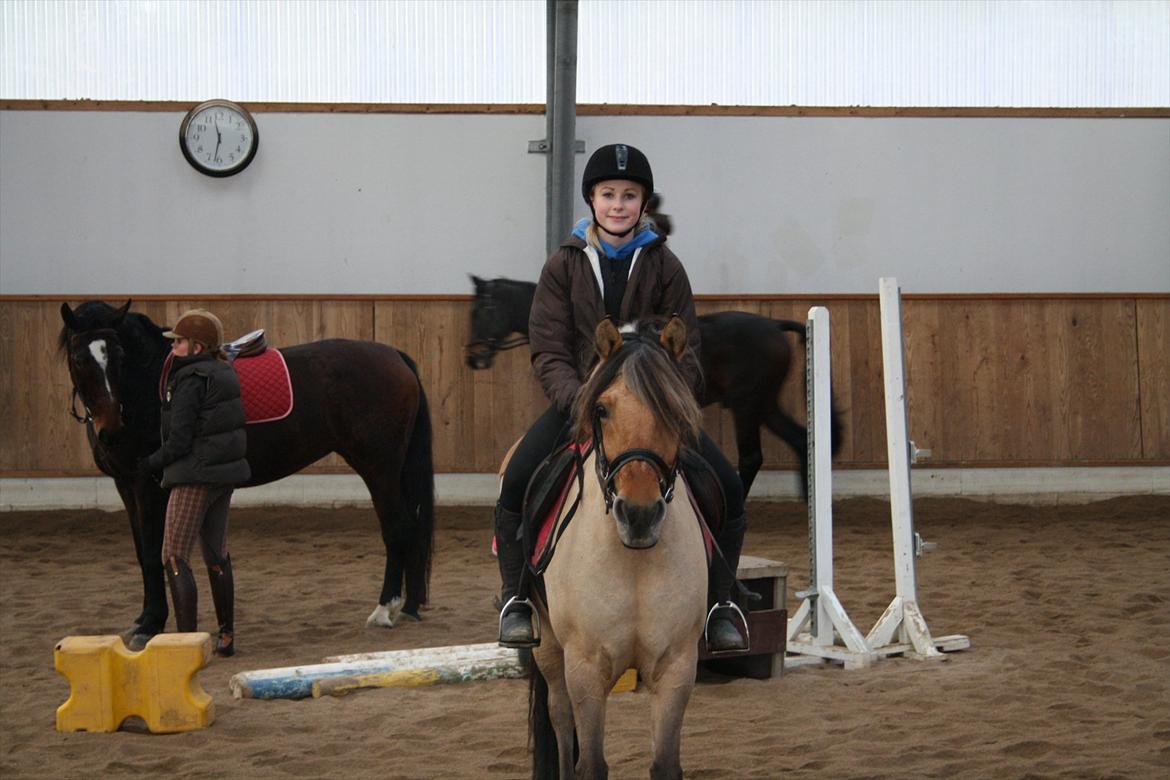 Anden særlig race Chess - Elsker dig så højt skat, du er den bedste spring pony jeg kende! <3 billede 17