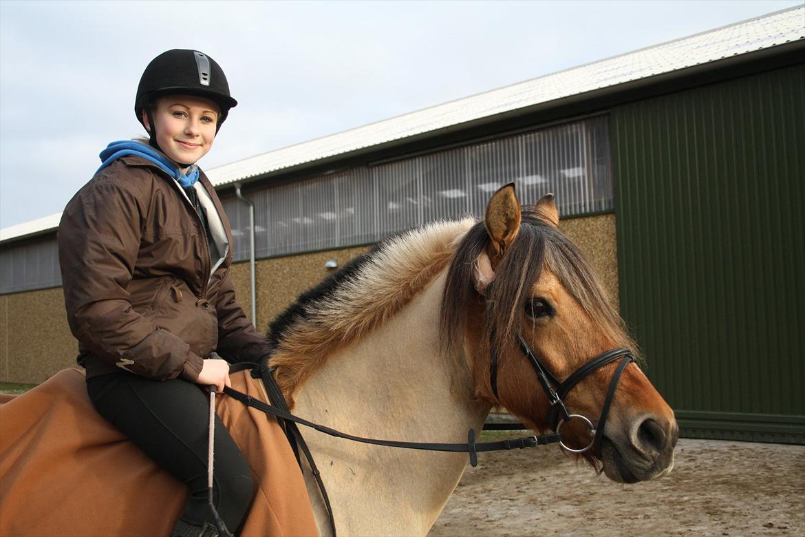 Anden særlig race Chess - Den dejligste og fredfylde pony!! :-*
 billede 18