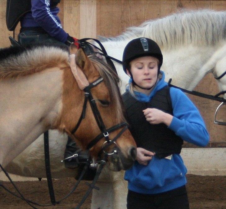 Anden særlig race Chess - Vi er ens, vi er blikker på samme tid! :')  billede 19