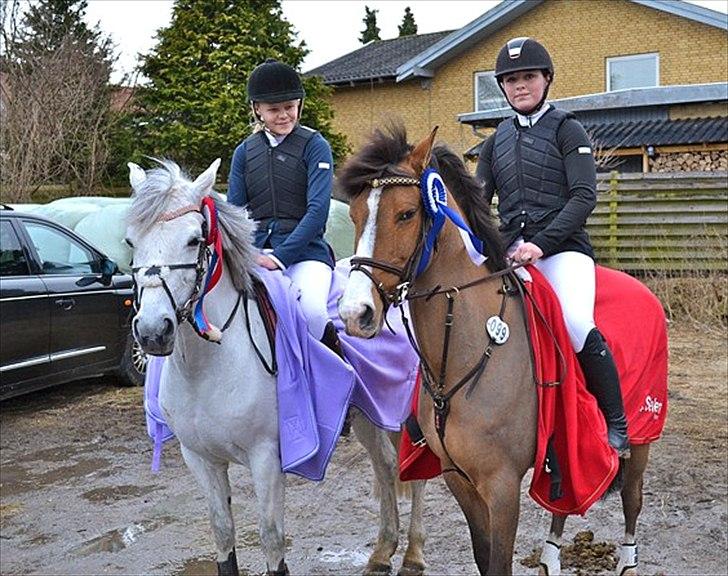 Anden særlig race Cappagh Unique - D. 10/3 - 2012 på Vemmelev Rideklub
Elvira på Missi, og mig på Una.
2 plads i MB, og B-rytter <3 billede 14
