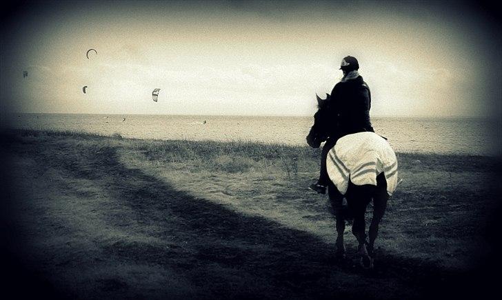 Oldenborg Felix - søde ven billede 17