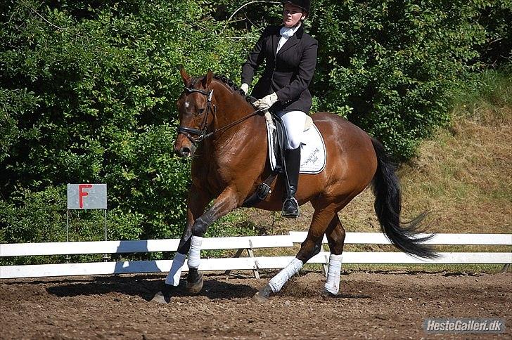 Fuldblod (XX) Sing a Long - LA3-A MRR 4-06-11 billede 14