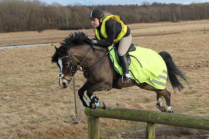 Anden særlig race Buster - Tur med Nadja, hvor vi tager et lille spring med på vejen :-)
foto: NS billede 12