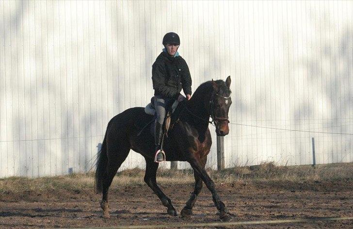 Anden særlig race Bonnie - Skrødstrup efterskole 11/12
-har lært os så meget. billede 19