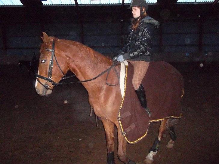 Anden særlig race Mister Monty [Tidl. Hest] - Monty og jeg. Et billede af en af de første gange jeg red ham alene, der er allerede fremskridt EFTER dette billede :') (L) billede 12