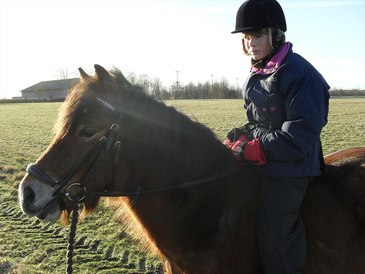 Anden særlig race Bølle Bob [Har redet] - Fie første gang på tur med Bølle :) I er så søde sammen :)

Jalousi er ikke angsten for at dele, men angsten for at miste

Foto: mig billede 13