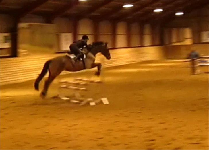 Anden særlig race Gypsy Bally - Gypsy & mig <3.
Springtræning d. 5/3 (: billede 8