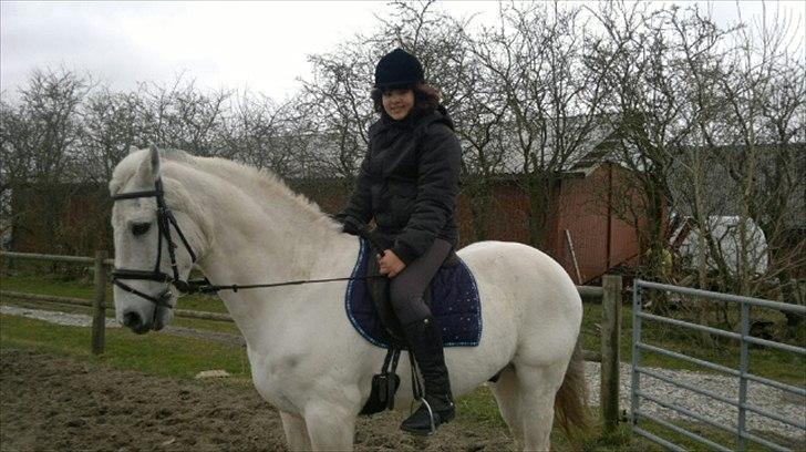 Anden særlig race Mille <3. (Ard Chuan Millenium) billede 12