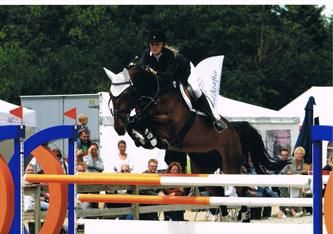 Dansk Varmblod Chagall Cornett -ViNDER DM 2012- - Cornet til MB eller MA (: billede 2