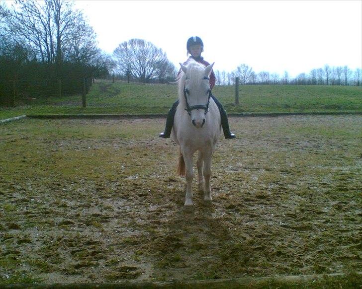 Anden særlig race mickey <3 Himmelhest <3 - nårr har lige fundet det der var jeg ikke ret gammel;) billede 6