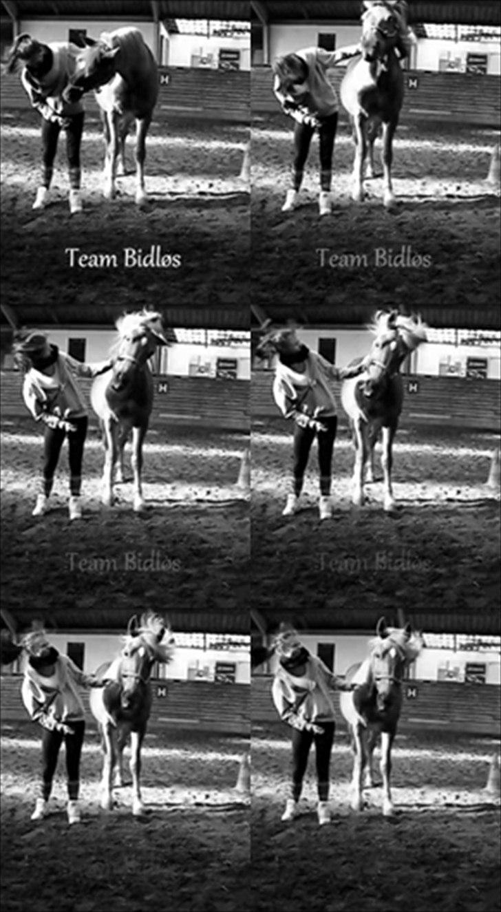 Anden særlig race Alvin - Det der gør livet værd at leve <3 - Du er skøøøn!.. Du er smilet på mine læber :i <3 billede 16