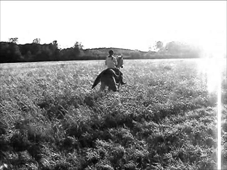 Anden særlig race Alvin - Det der gør livet værd at leve <3 - Hvis vi stikker af, vil det så endelig bare blive os to? billede 17