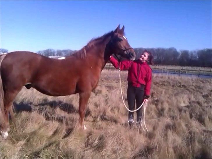 Anden særlig race Alvin - Det der gør livet værd at leve <3 - En rigtig ven, det er hvad du er.. <3 billede 18