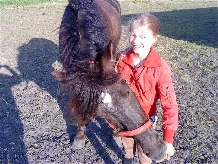 Anden særlig race Østerstrovstrups Sisco<3 - Mums gulerødder smager vildt GODT ;)  billede 21