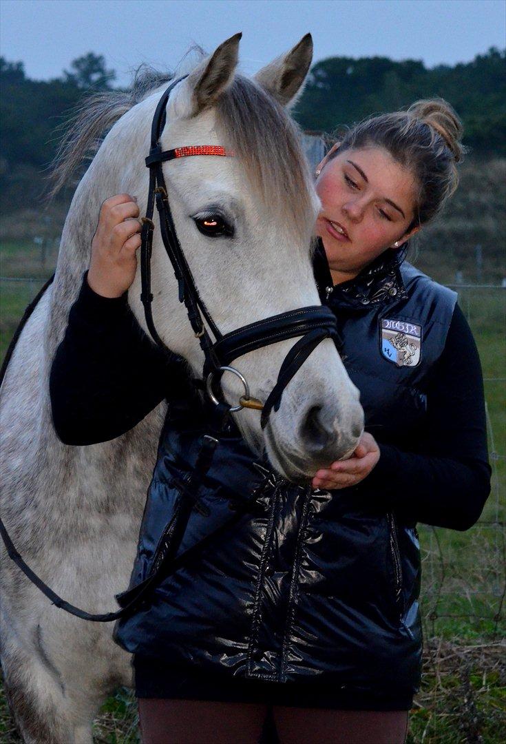 DSP Linette // Lynette - Hun er det bedste der nogensinde er sket for mig <3 Fotograf: Gina Rasmussen billede 15