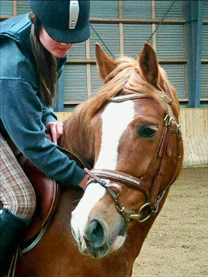 Anden særlig race Thunder Boy - Sidste dag på dig...:-/
- Men det var så hyggeligt at springe, sammen med Freja :-* billede 16