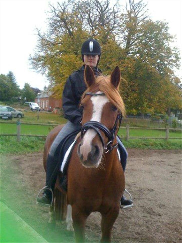 Anden særlig race Thunder Boy - Sweetheart <3 
Foto: Nico <3 billede 7